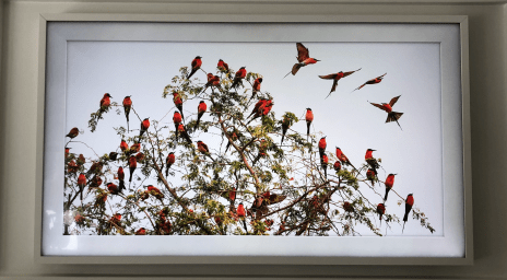 Screen Shot 2018-12-17 at 5.56.51 PM